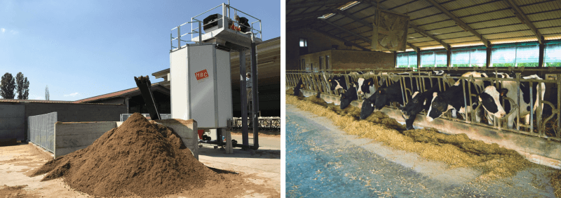 A HBC Biocell, separated slurry solids and cows in a cattle shed.