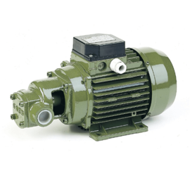 Green gear pump, the SAER CF Series for high-viscosity pumping.