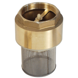 Brass spring check valve complete with strainer.