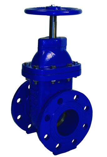 LAUNCH OF THE NEW WEDGE GATE VALVE