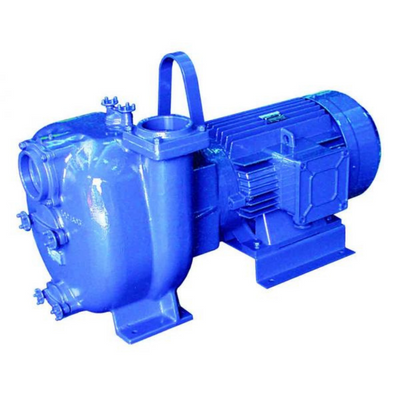 A blue industrial pump from T-T's J Range.