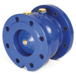 A blue axial check valve.