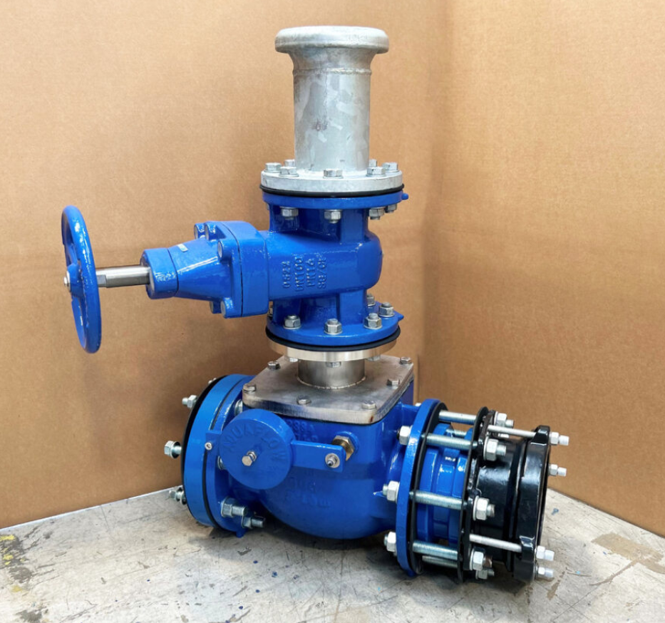 Bespoke check valve with integrated isolating gate valve and handwheel actuation.