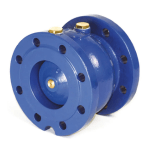 T-T Spring Check Valve product image and link.