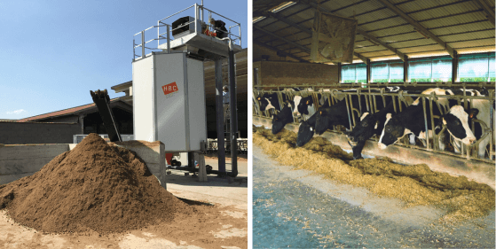 HBC Biocell slurry separator and cows on a dairy farm.